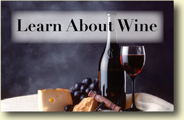 learn about wine
